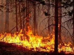 Два дня чрезвычайной пожароопасности предстоит пережить Морозовскому району