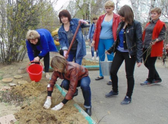 Письмо в редакцию: Розы, сирень и бульденеж посадили в день древонасаждений в детском саду Морозовска