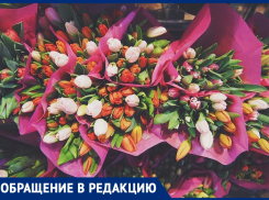 Где будет работать цветочный базар? - морозовчанка