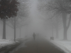 +2: потепление в Морозовске продолжается