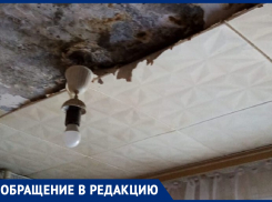 Стоит ужасный запах плесени и уже завёлся грибок! - жительница многоквартирного дома в Морозовске