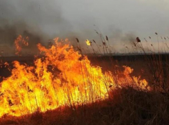 Осторожно! В Морозовском районе два дня будет чрезвычайная пожароопасность