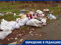 «Засорённая улица»: жители Морозовска возмущены свалкой на Тюленина и требуют навести порядок