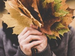Тепло и пасмурно будет в Морозовске 18 октября, а затем резко похолодает