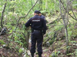 Тело пропавшего без вести пасечника обнаружили в лесополосе под Морозовском