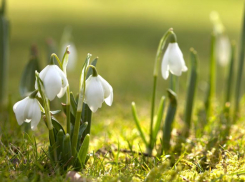 Солнечный и теплый день обещают морозовчанам и в четверг