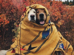 Похолодание до +4 обещают морозовчанам в середине недели