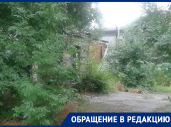 Возле здания бывшего суда страшно ходить, - морозовчанка