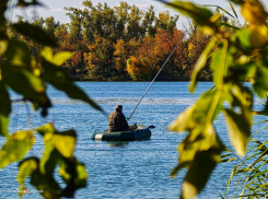 Тепло, но ветрено: о погоде в пятницу в Морозовске
