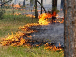 Чрезвычайная пожароопасность ожидается в Морозовском районе 23 и 24 августа