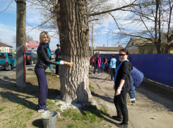 Более 60 организаций Морозовска 16 апреля вышли на общегородской субботник