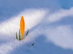 Снег может пойти и в понедельник