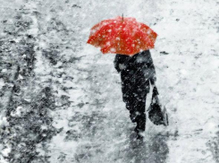 Обложной дождь пройдет в Морозовске в понедельник