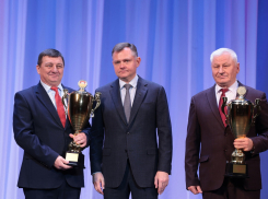 Ремонтненский и Зимовниковский районы лидируют в производстве зерновых на Дону