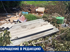 В переулке Маяковского люди устроили свалку около мусорных баков! – морозовчанка