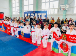 Всероссийский турнир по шотокан-каратэ WSF прошел в Морозовском районе 