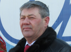 Первые подснежники появились в Морозовске, - Юрий Муленко сообщил горожанам о приходе весны
