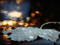 Дождь и небольшое потепление обещают морозовчанам в пятницу