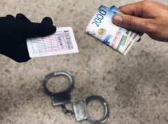 За приобретение и сбыт поддельного водительского удостоверения морозовчанка предстанет перед судом