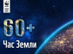 Морозовчан призвали присоединится к ежегодной международной экологической акции 