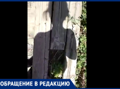 Морозовчанка чуть не упала, снимая видео о разваливающемся мосте на улице Чернышевского
