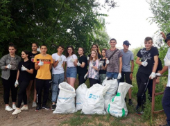 200 метров берега реки Быстрой в Морозовске очистили от бытового мусора волонтеры и сотрудники городской администрации