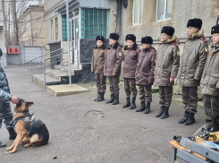 Морозовские полицейские открывают кадетам путь в профессию