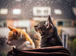 Резкие перемены в погоде грозят морозовчанам плохим самочувствием 