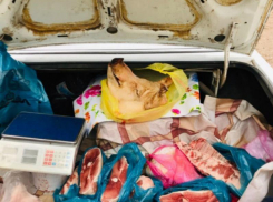 Торговля в неустановленных местах и нарушение благоустройства: шесть протоколов составлено в Морозовске за 2024 год