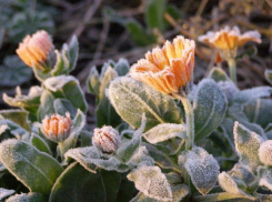 Неожиданное похолодание придет в Морозовский район с началом апреля