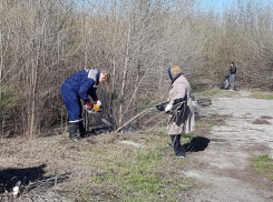Всем участникам большого общегородского субботника в Морозовске выразили благодарность