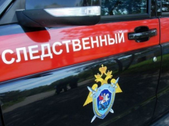 Следственный комитет взялся проверять обстоятельства избиения Любы в Морозовске