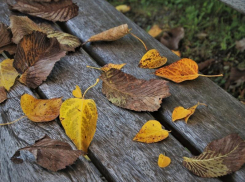 Всего до 10 градусов тепла обещают морозовчанам в среду