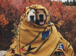 Ветер и всего +18 градусов тепла обещают морозовчанам в конце недели