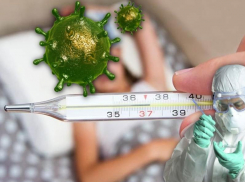 7 августа: подтвержденных случаев COVID-19 в Морозовском районе по-прежнему 57, выздоровлений - 48