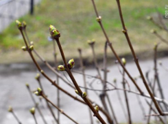 Малооблачно и +8 будет в Морозовске во вторник