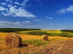 Столбик термометра в Морозовске может опуститься до +13