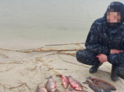 До двух лет лишения свободы грозит мужчинам за незаконную рыбалку 