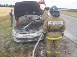 Легковой автомобиль загорелся на трассе «Кашары-Морозовск»