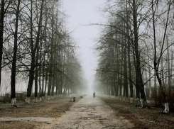 Всего +3 градуса тепла ожидается в Морозовске 6 декабря