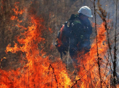 Чрезвычайная пожароопасность сохранится в Ростовской области до начала следующей недели