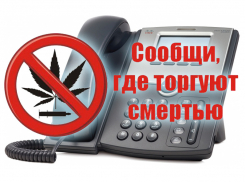 Морозовский и Милютинский районы присоединились ко всероссийской акции «Сообщи, где торгуют смертью»
