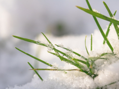 +4 будет в Морозовске в понедельник