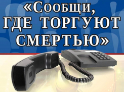 Всероссийская акция «Сообщи, где торгуют смертью» стартовала на территории Морозовского и Милютинского районов