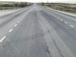 Водитель «КАМАЗа» насмерть сбил пешехода на трассе под Морозовском