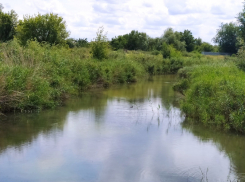 Главная для Морозовского района река Быстрая может погибнуть уже в ближайшие годы