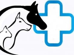 Приглашаем ветеринарного врача на должность продавца-консультанта в ветаптеку Морозовска