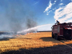 Выжигание стерни и сухой травы грозит жителям Морозовского района административной и уголовной ответственностью
