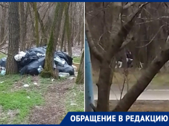 На въезде в город уже полгода гниет несанкционированная свалка: местные жители бьют тревогу