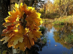 Солнечные выходные целая неделя тепла ожидают морозовчан